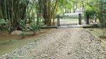 thumbnail-lahan-dijual-luas-35-hektar-shm-daerah-sukamakmur-citeureup-bogor-1